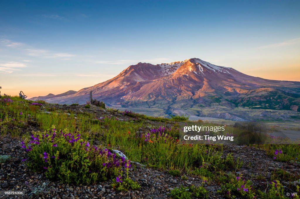 Mount St. Helens at sunrise, Washington, USA.