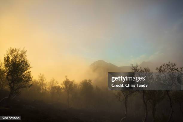 nona in the mist - nozna stock pictures, royalty-free photos & images