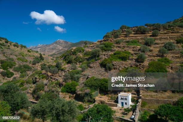 small white dovecote in hilly country near kamares village, sifnos, cyclades, greek islands, greece, europe - strachan stockfoto's en -beelden
