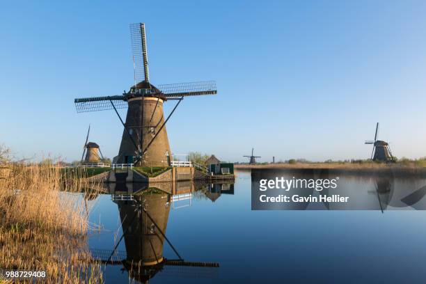 windmills, kinderdijk, unesco world heritage site, netherlands, europe - gavin hellier bildbanksfoton och bilder
