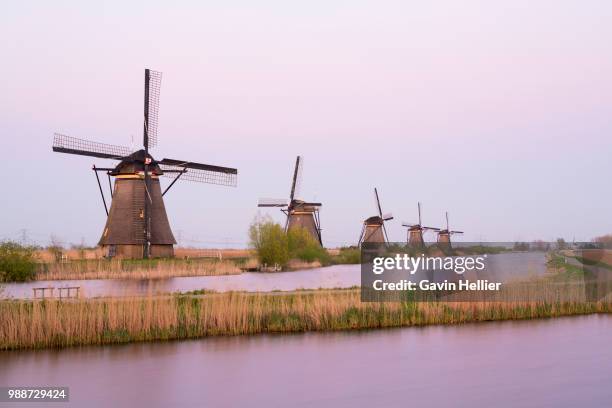 windmills, kinderdijk, unesco world heritage site, netherlands, europe - gavin hellier bildbanksfoton och bilder