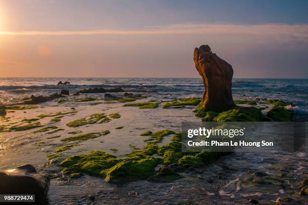 mossy rocky beach at sunrise in phan rang, vietnam - phan rang stock pictures, royalty-free photos & images