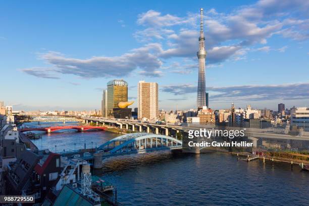 city skyline and skytree on the sumida river, tokyo, japan, asia - gavin hellier 個照片及圖片檔