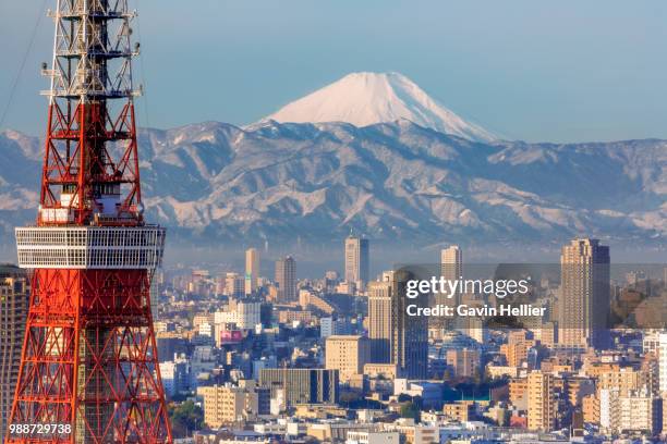 elevated night view of the city skyline and iconic tokyo tower, tokyo, japan, asia - gavin hellier bildbanksfoton och bilder