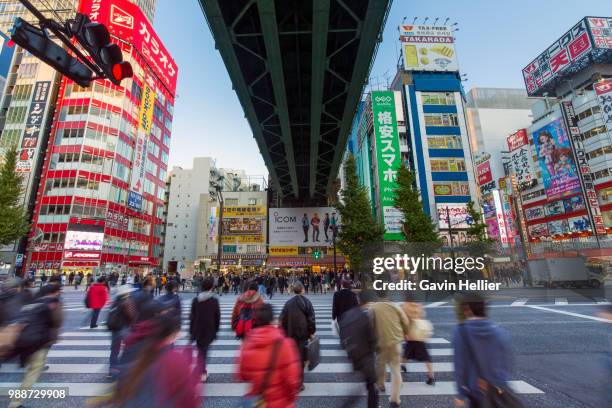 neon signs cover buildings in the consumer electronics district of akihabara, tokyo, japan, asia - gavin hellier 個照片及圖片檔