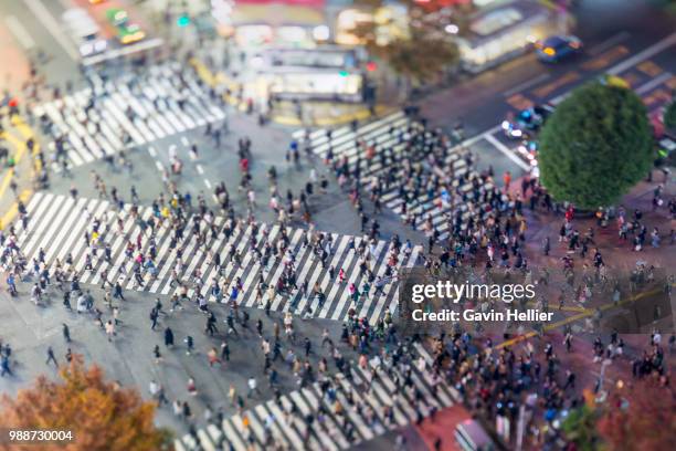 shibuya crossing, centre of shibuya's fashionable shopping and entertainment district, shibuya, tokyo, japan, asia - gavin hellier bildbanksfoton och bilder