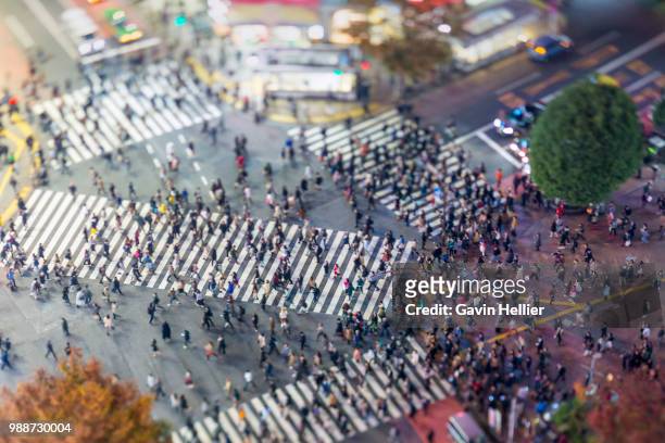 shibuya crossing, centre of shibuya's fashionable shopping and entertainment district, shibuya, tokyo, japan, asia - gavin hellier 個照片及圖片檔