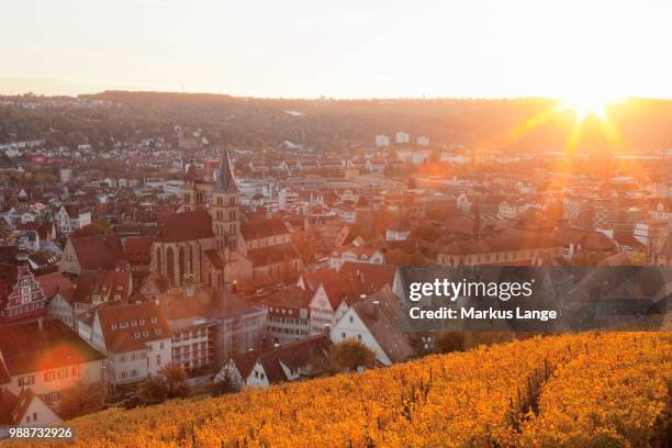 view from the castle over esslingen at sunset, esslingen, baden-wurttemberg, germany, europe - esslingen am neckar stock-fotos und bilder