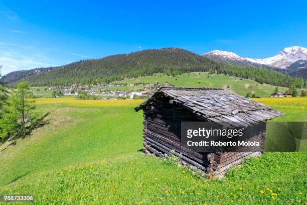 alpine hut in the green meadows, davos wiesen, canton of graubunden, prettigovia davos region, switzerland, europe - graubunden canton fotografías e imágenes de stock