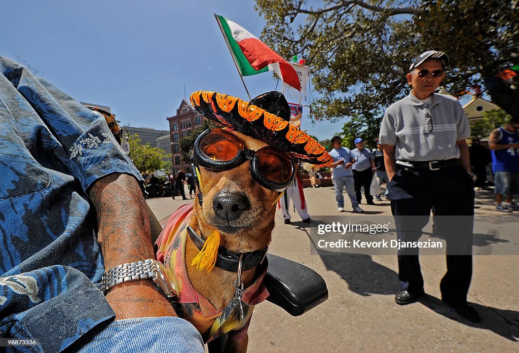 Angelenos Celebrate Cinco De Mayo