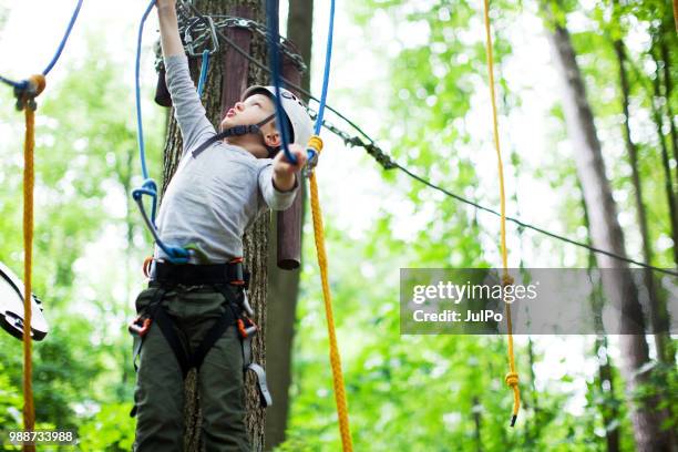 el niño en el parque de cuerda de escalada - carabina fotografías e imágenes de stock