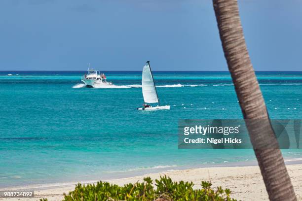 the beach in front of the sibonne hotel, grace bay, providenciales, turks and caicos, in the caribbean, west indies, central america - turks and caicos islands stock-fotos und bilder