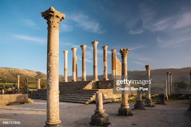 roman ruins of volubilis, unesco world heritage site, morocco, north africa, africa - moulay idriss stockfoto's en -beelden