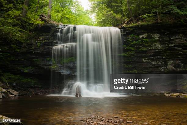 harrison wright falls in ricketts glenn - harrison wood stock pictures, royalty-free photos & images