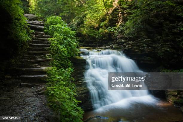 mohican falls in ricketts glenn, pennsylvania - mohican stock pictures, royalty-free photos & images