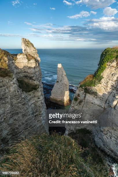 porte d'aval pinnacle, etretat, normandy, france, europe - ポルトダヴァル ストックフォトと画像