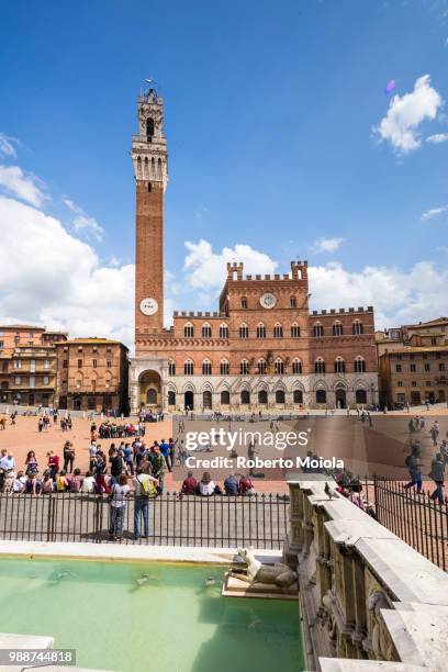 piazza del campo with the old palazzo pubblico, torre del mangia and the fonte gaia fountain, siena, unesco world heritage site, tuscany, italy, europe - fonte stock-fotos und bilder