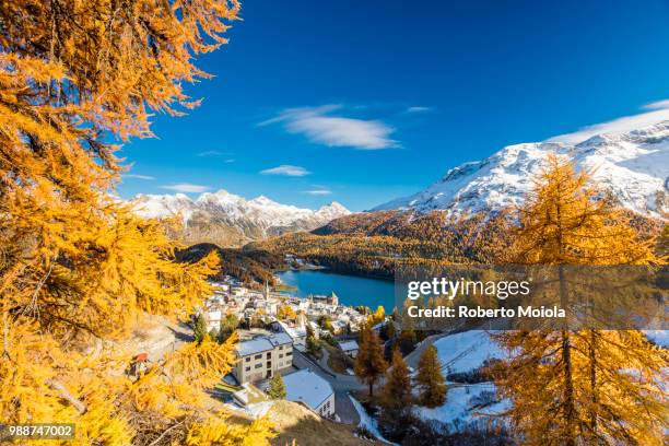 the alpine village of st. moritz framed by colorful woods and the blue lake, canton of graubunden, engadine, switzerland, europe - graubunden canton stock-fotos und bilder