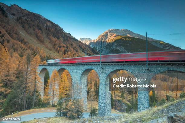 red train on viaduct surrounded by colorful woods, preda, bergun, albula valley, canton of graubunden, engadine, switzerland, europe - graubunden canton stock-fotos und bilder