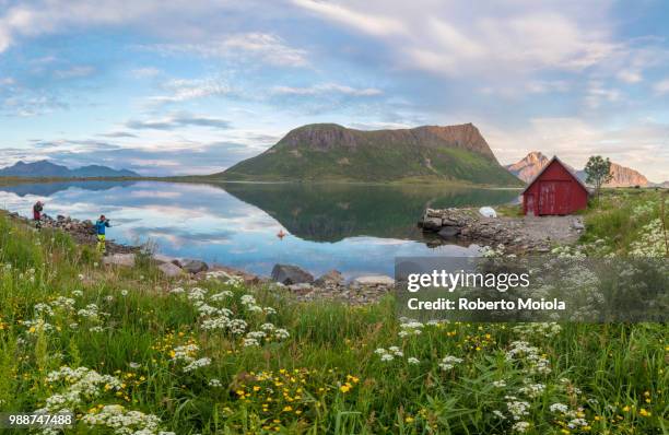 flowers and grass frame the typical rorbu and peaks reflected in sea at night, vengeren, vagpollen, lofoten islands, norway, scandinavia, europe - rorbu stock pictures, royalty-free photos & images