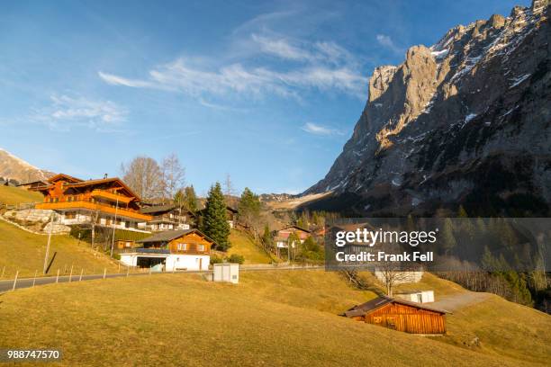 the wetterhorn, grindelwald, jungfrau region, bernese oberland, swiss alps, switzerland, europe - wetterhorn stock pictures, royalty-free photos & images