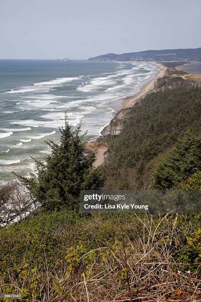 Ocean and Bay