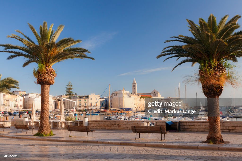 View over the harbour to San Nicola Pellegrino cathedral, Trani, Le Murge, Barletta-Andria-Trani district, Puglia, Italy, Mediterranean, Europe