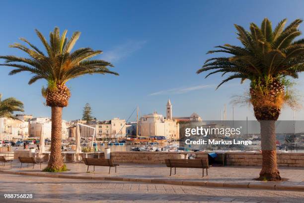 view over the harbour to san nicola pellegrino cathedral, trani, le murge, barletta-andria-trani district, puglia, italy, mediterranean, europe - andria stock pictures, royalty-free photos & images