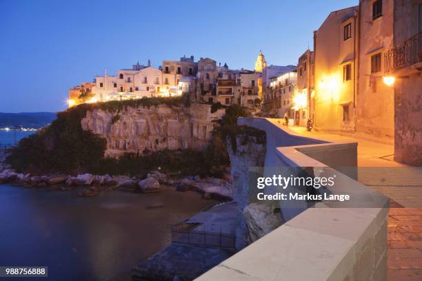 old town with cathedral, vieste, gargano, foggia province, puglia, italy, mediterranean, europe - vieste bildbanksfoton och bilder