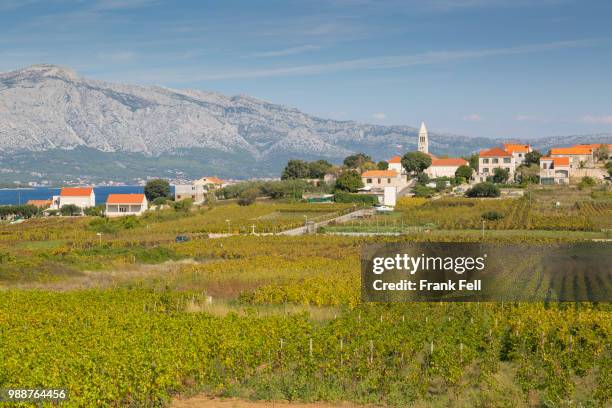 view of town and vineyard, lumbarda, korcula, dubrovnik-neretva county, dalmatia, croatia, europe - korcula island stock pictures, royalty-free photos & images