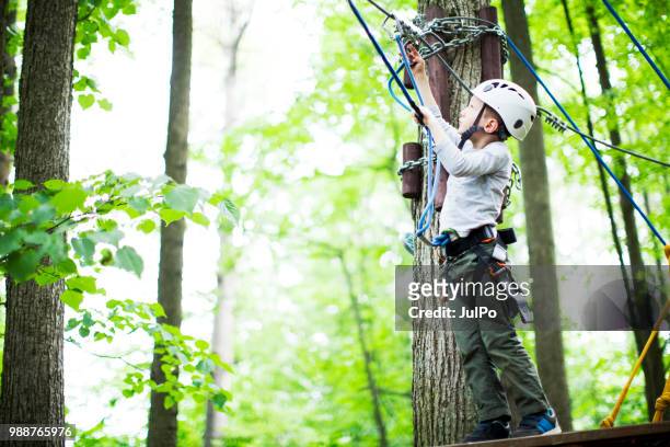 el niño en el parque de cuerda de escalada - carabina fotografías e imágenes de stock