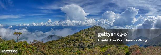 kota kinabalu mountain - kota kinabalu 個照片及圖片檔