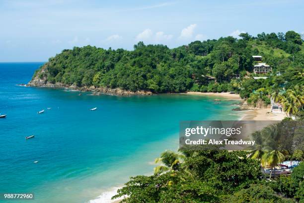 the beach at castara bay in tobago, trinidad and tobago, west indies, caribbean, central america - trinidad and tobago 個照片及圖片檔