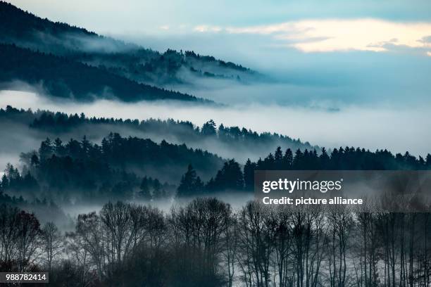 Wafts of mist hanging over the forsts near Loitzendorf, in the Lower Bavarian district of Straubing-Bogen, Germany, 11 December 2017. Photo: Armin...