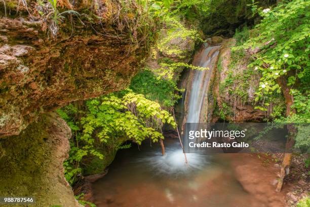 waterfall in spring - rasto 個照片及圖片檔