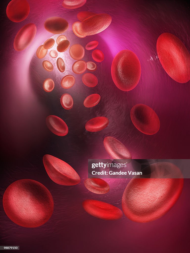 Red blood cells passing through blood vessel