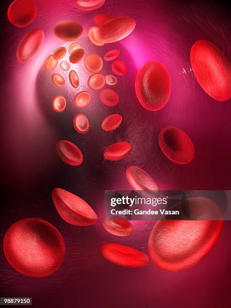 red blood cells passing through blood vessel - hemoglobin stock pictures, royalty-free photos & images