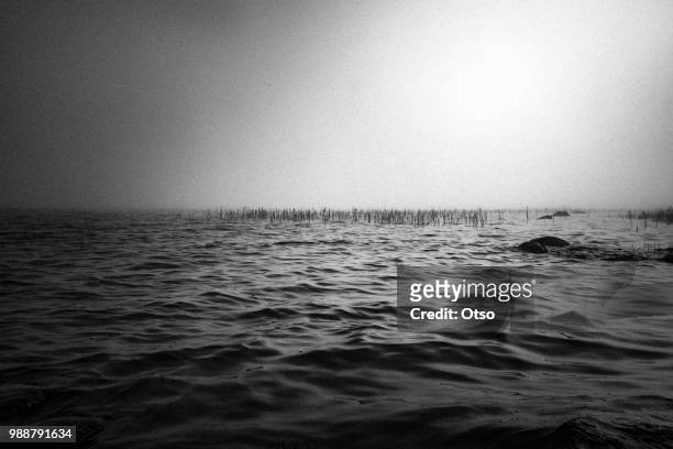 dark tides - otso stock pictures, royalty-free photos & images
