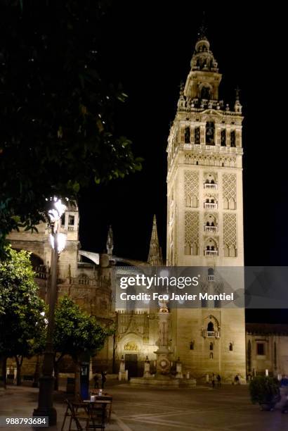 catedral de sevilla - catedral de sevilla stock pictures, royalty-free photos & images