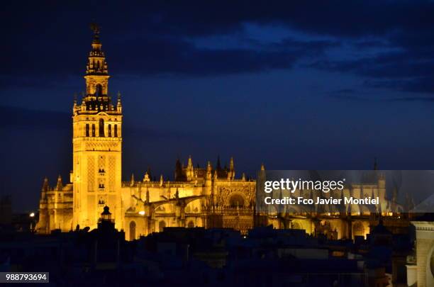 catedral de sevilla - catedral de sevilla stock pictures, royalty-free photos & images