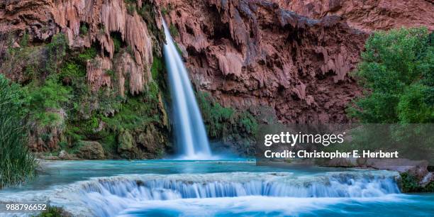 havasu falls evening light - havasu falls stockfoto's en -beelden