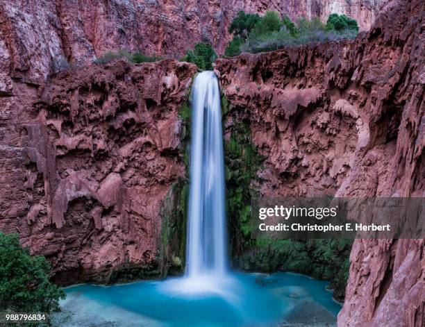 mooney falls evening light - mooney falls stock pictures, royalty-free photos & images