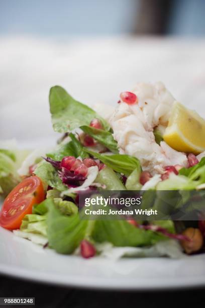 close- up of salad on white plate, british virgin islands, uk - jordania stock pictures, royalty-free photos & images