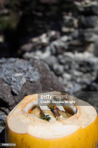 bvi foodie - jordania stock pictures, royalty-free photos & images