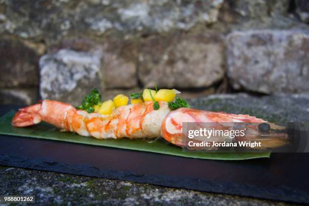 bvi foodie - jordania stock pictures, royalty-free photos & images