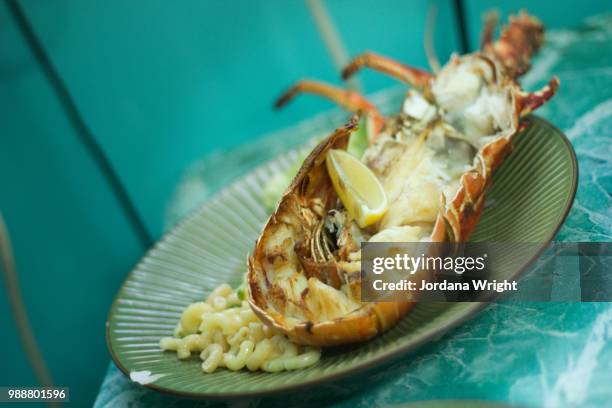 bvi foodie - jordania stock pictures, royalty-free photos & images