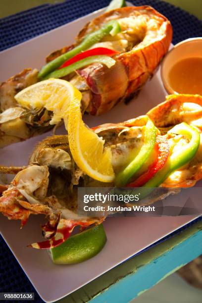 bvi foodie - jordania stock pictures, royalty-free photos & images