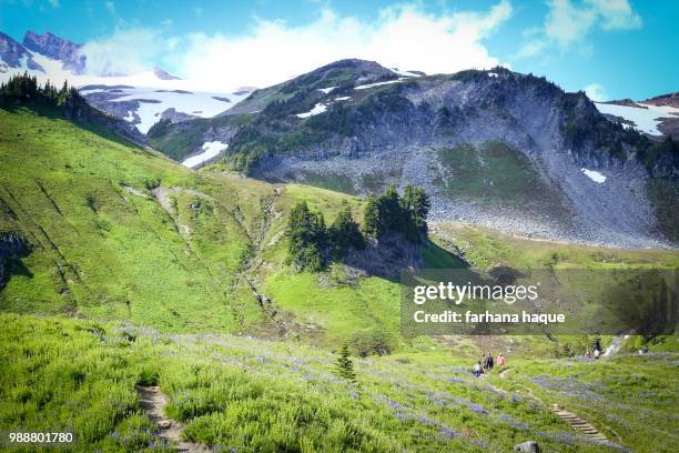 an attempt to fathom the giant - fathom stock pictures, royalty-free photos & images