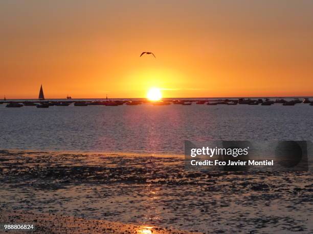 atardecer en sanlucar de barrameda - atardecer playa stock pictures, royalty-free photos & images