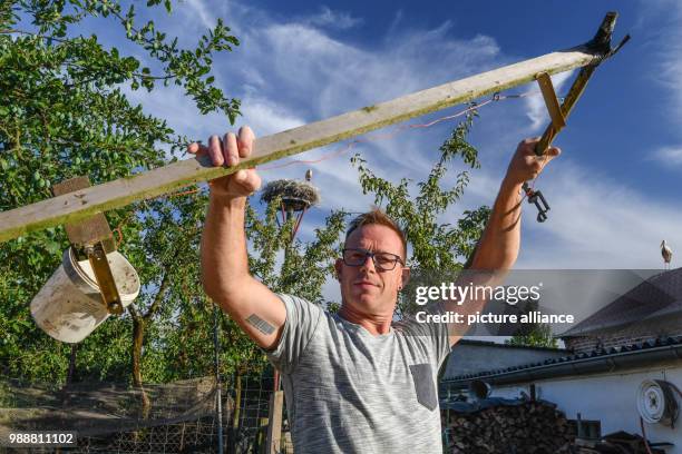 June 2018, Falkenhagen, Germany: Matthias Arndt shows his self-made construction, with which he feeds a white stork family with five-fold offspring...